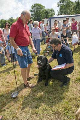Birstwith Show