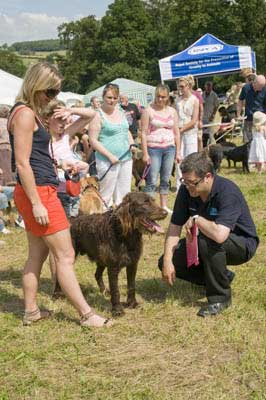 Birstwith Show